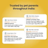 Jump-O-Joint Tablets for Dogs & Cats – Joint Support 60 Tablets - Image 5