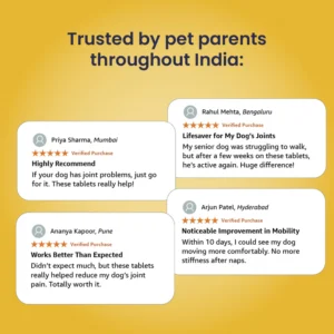 Jump-O-Joint Tablets for Dogs & Cats – Joint Support 60 Tablets - Image 5