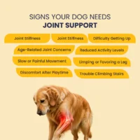 Jump-O-Joint Tablets for Dogs & Cats – Joint Support 60 Tablets - Image 4