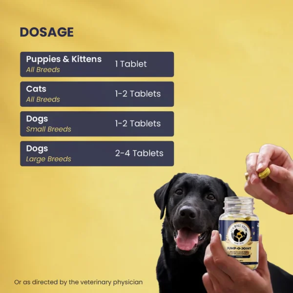 Jump-O-Joint Tablets for Dogs & Cats – Joint Support 60 Tablets