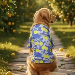 15 Furries Royal Blue Lemon Cotton Dog Shirt