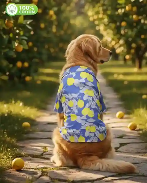 15 Furries Royal Blue Lemon Cotton Dog Shirt