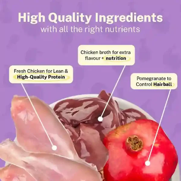 Smylo Chompin’ Chicken with Liver & Pomegranate Kitten Wet Food 70g
