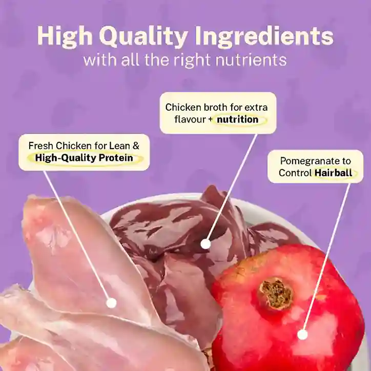 Smylo Chompin’ Chicken with Liver & Pomegranate Kitten Wet Food 70g