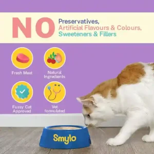 Smylo Chompin’ Chicken with Liver & Pomegranate Kitten Wet Food 70g