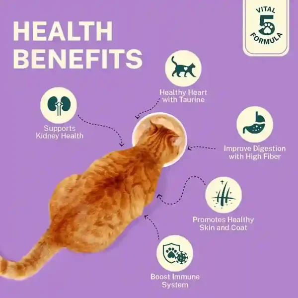Smylo Chompin’ Chicken with Liver & Pomegranate Kitten Wet Food 70g