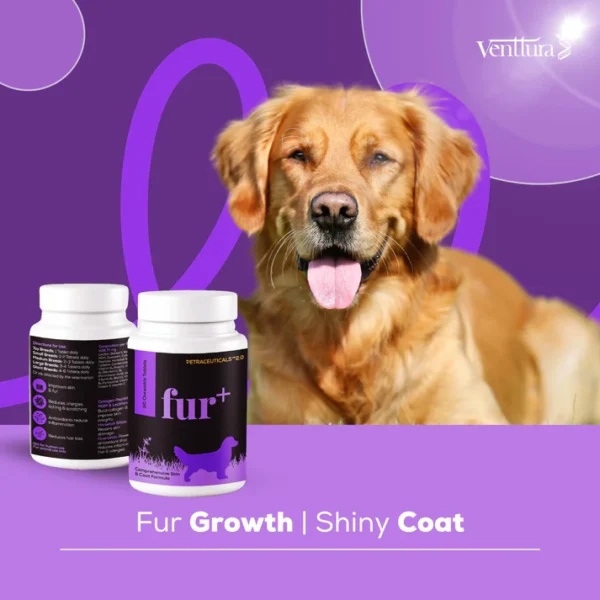 Venttura Dog Skin & Coat Supplement – Fur+ Support for Dogs