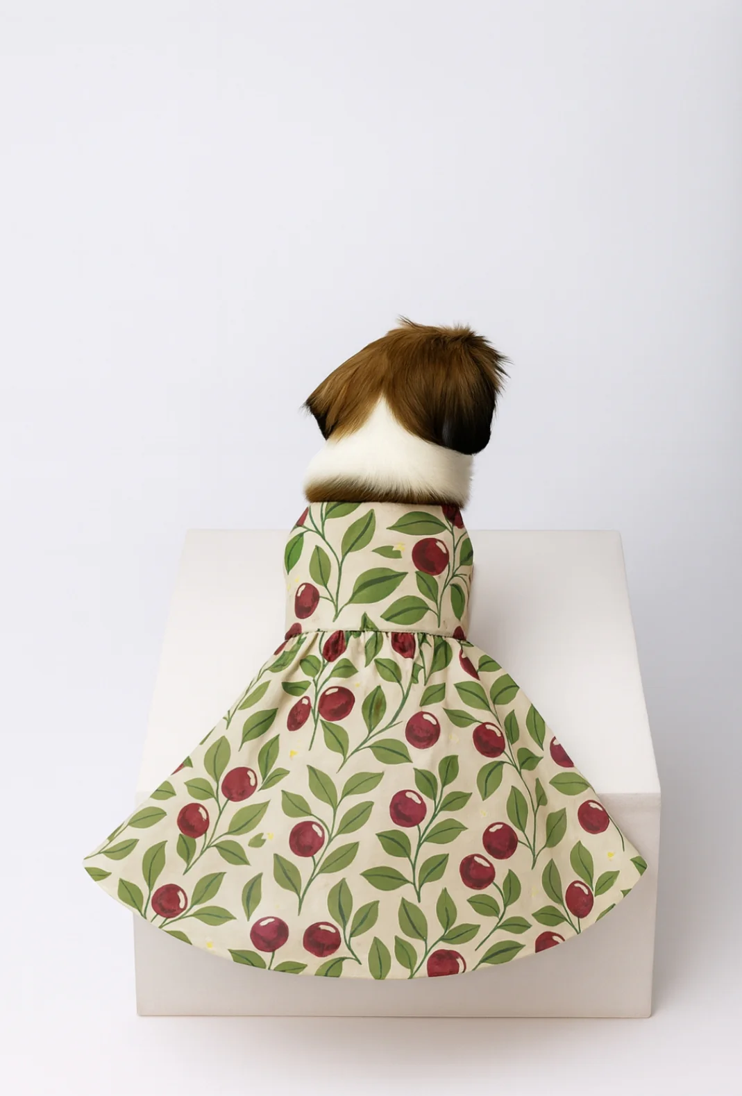 15 Furries Blushing Berries Dog Dress