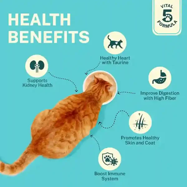 Smylo Tastin’ Tuna with Salmon & Pumpkin Kitten Wet Food 70g
