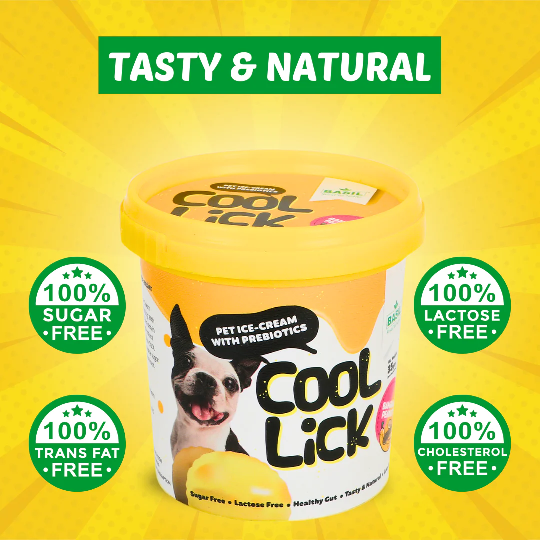 Basil Cool Lick Dog Ice Cream with Prebiotics