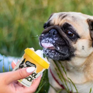 Basil Cool Lick Dog Ice Cream with Prebiotics - Image 3