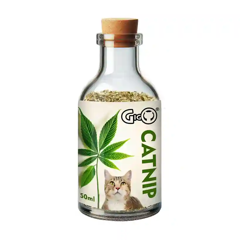 Gigo Premium Kashmiri Catnip 50ml