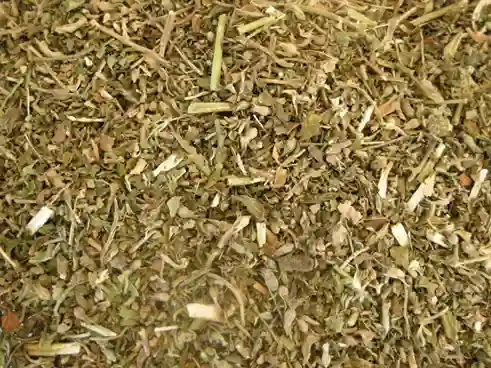Gigo Premium Kashmiri Catnip 50ml