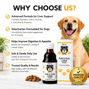 FUR & FUN Liver Syrup for Dogs | Appetite & Liver Support | 200ml