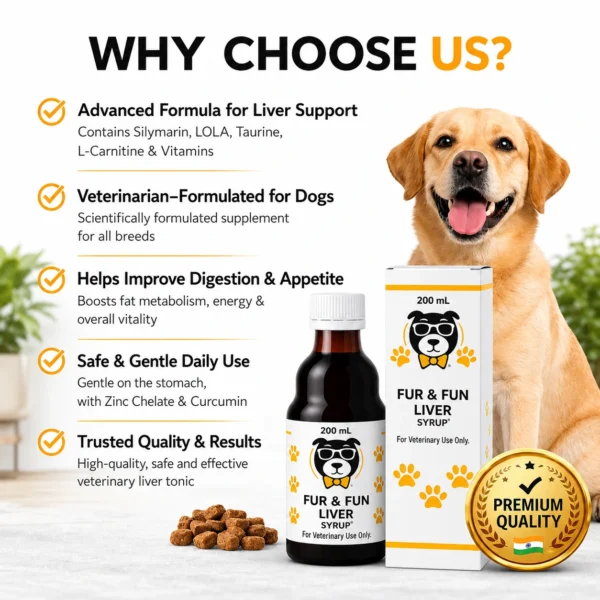 FUR & FUN Liver Syrup for Dogs | Appetite & Liver Support | 200ml
