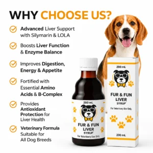 FUR & FUN Liver Syrup for Dogs | Appetite & Liver Support | 200ml - Image 3