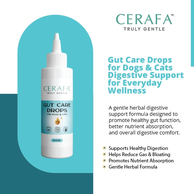 Cerafa Gut Care Drops for Dogs & Cats 100ml