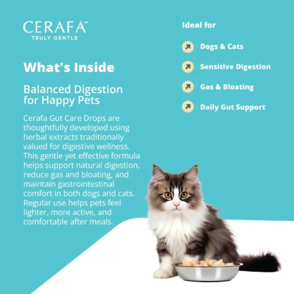 Cerafa Gut Care Drops for Dogs & Cats – Natural Digestive & Gut Health Supplement