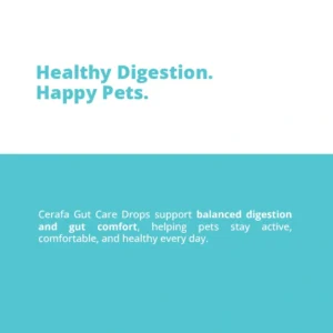 Cerafa Gut Care Drops for Dogs & Cats 100ml - Image 3