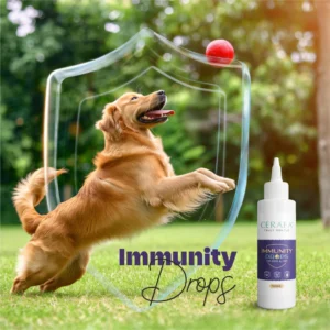 Cerafa Immunity Drops for Dogs & Cats 100ml - Image 7