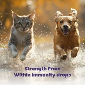 Cerafa Immunity Drops for Dogs & Cats 100ml - Image 8