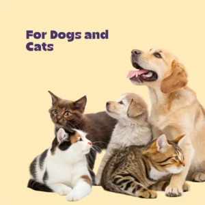 Cerafa Immunity Drops for Dogs & Cats 100ml - Image 9