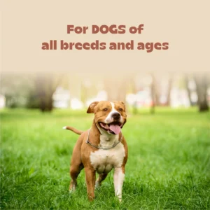 Cerafa Joint & Bone Health Drops for Dogs & Cats 100ml - Image 4