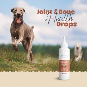 Cerafa Joint & Bone Health Drops for Dogs & Cats – Natural Mobility & Bone Support Supplement