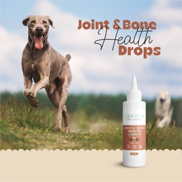 Cerafa Joint & Bone Health Drops for Dogs & Cats – Natural Mobility & Bone Support Supplement