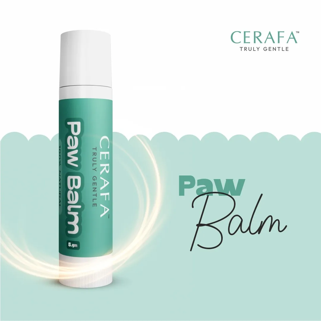 Cerafa Paw Balm for Dogs & Cats 5g
