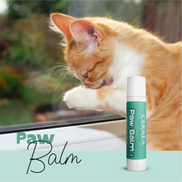 Cerafa Paw Balm for Dogs & Cats 5g