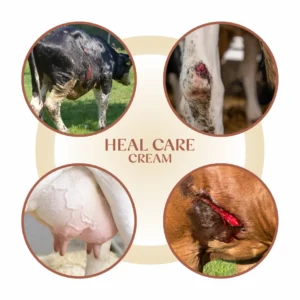 Cerafa Heal Care Cream for Dogs & Cats 100ml