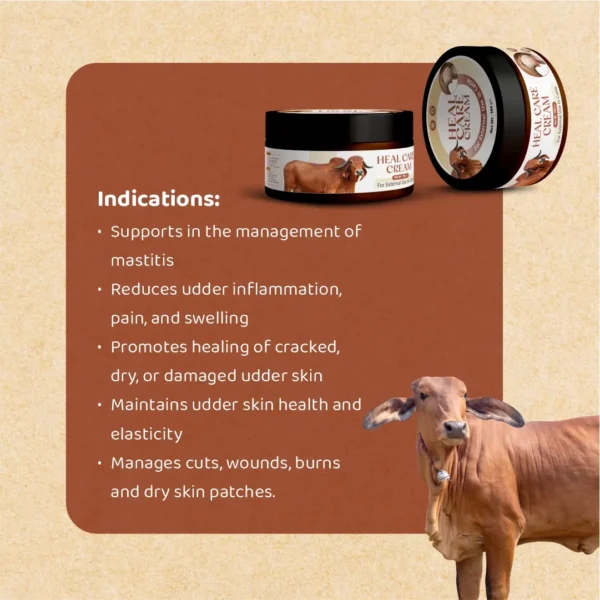 Cerafa Heal Care Cream for Dogs & Cats 100ml
