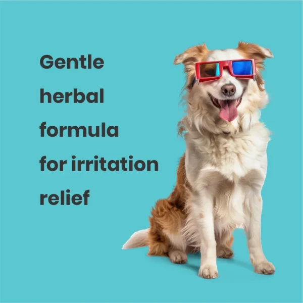 Cerafa Paw Smooth Aloe Vera Ear Cleanser for Dogs & Cats 50ml