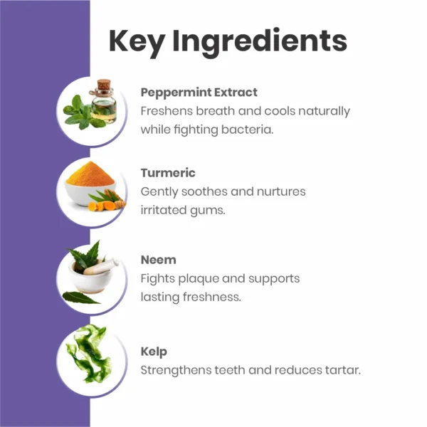 Cerafa Paw Smooth Pet Toothpaste for Dogs & Cats 50g