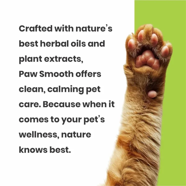 Cerafa Paw Smooth Rosemary Spray for Dogs & Cats 100ml