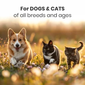 Cerafa Paw Smooth Rosemary Spray for Dogs & Cats 100ml