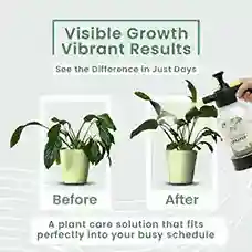 IFFCO Urban Gardens Green Diet – Complete Plant Food (Water Soluble Liquid)