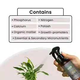 IFFCO Urban Gardens Flora Diet – Flowering Booster (Ready To Use)