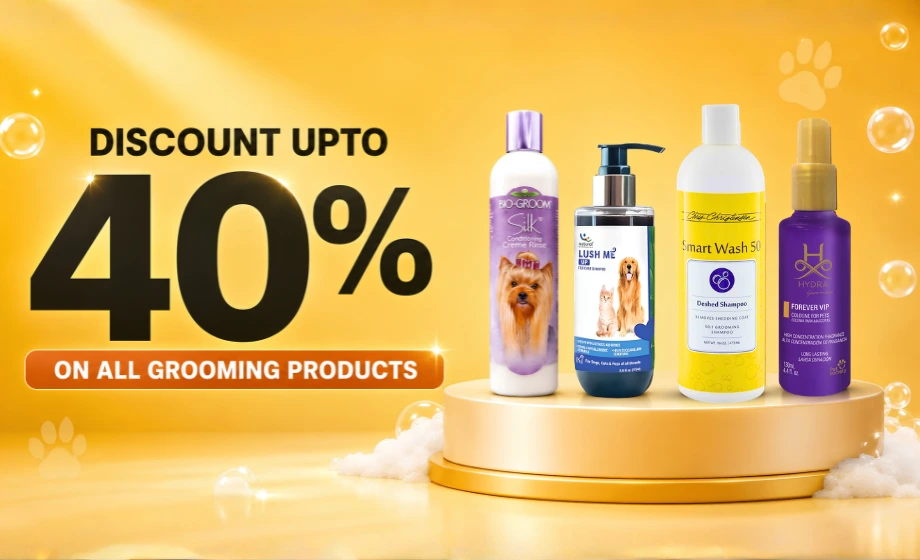 Summer sale_petbeing (1) (1)