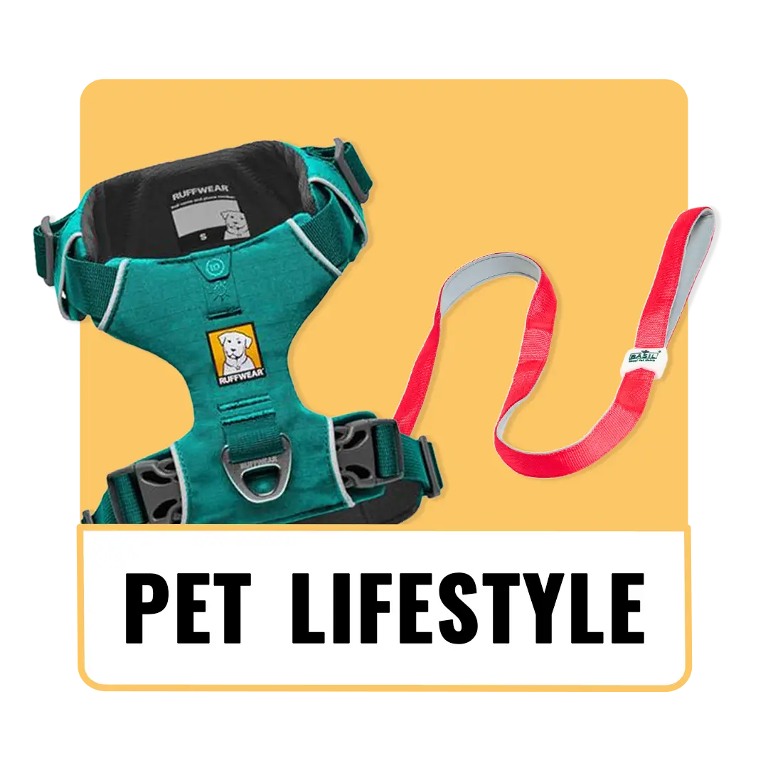 The_Pet_Being_Category (8)