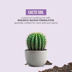 IFFCO Urban Gardens Cacto Soil – Succulent Potting Mix (5kg)
