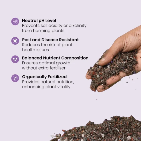 IFFCO Urban Gardens Cacto Soil – Succulent Potting Mix (5kg)