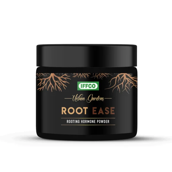 DETAILED DESCRIPTION IFFCO Urban Gardens Root Ease is a rooting hormone powder designed to support root development in plant cuttings and during plant propagation. The powder formulation is easy to apply and can be used as part of the propagation process for suitable plants. It is ideal for gardeners and plant enthusiasts looking to support the establishment of plant cuttings and encourage healthy root development. COMPOSITION & FORMULATION Rooting hormone powder. Designed for plant propagation. Easy-to-apply powder formulation. Suitable for use with plant cuttings. (Refer to the product packaging for complete composition and application details.) KEY BENEFITS Supports root development in plant cuttings. Helps during plant propagation. Easy-to-use powder formulation. Suitable for a variety of plant cuttings. Convenient for home gardening and plant propagation. USAGE GUIDE Take a healthy plant cutting as required. Apply the recommended amount of rooting powder to the cut end. Plant the cutting in a suitable growing medium. Follow product label instructions for the recommended application method and dosage. INGREDIENTS Rooting Hormone Powder Formulation. (Refer to the product packaging for complete composition and usage instructions.) DETAILED DESCRIPTION IFFCO Urban Gardens Root Ease is a rooting hormone powder designed to support root development in plant cuttings and during plant propagation. The powder formulation is easy to apply and can be used as part of the propagation process for suitable plants. It is ideal for gardeners and plant enthusiasts looking to support the establishment of plant cuttings and encourage healthy root development. COMPOSITION & FORMULATION Rooting hormone powder. Designed for plant propagation. Easy-to-apply powder formulation. Suitable for use with plant cuttings. (Refer to the product packaging for complete composition and application details.) KEY BENEFITS Supports root development in plant cuttings. Helps during plant propagation. Easy-to-use powder formulation. Suitable for a variety of plant cuttings. Convenient for home gardening and plant propagation. USAGE GUIDE Take a healthy plant cutting as required. Apply the recommended amount of rooting powder to the cut end. Plant the cutting in a suitable growing medium. Follow product label instructions for the recommended application method and dosage. INGREDIENTS Rooting Hormone Powder Formulation. (Refer to the product packaging for complete composition and usage instructions.)