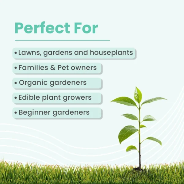 petsnewsnetwork.com