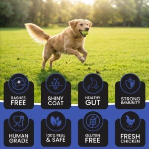 Dr.Pets Bistik Chicken Cheese Dog Biscuits key benefits infographic vitamin mineral enriched