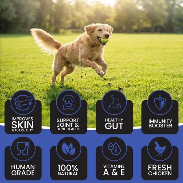 Dr.Pets Gravy Fresh Chicken and Vegetables Wet Dog Food key benefits infographic