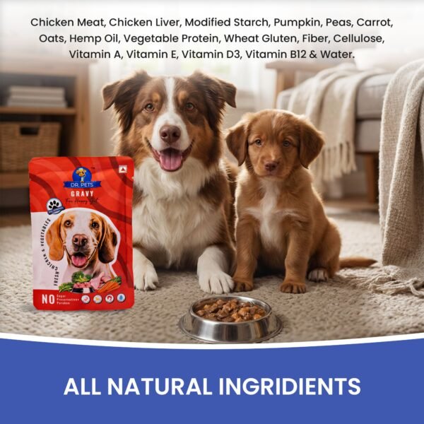 Happy dog enjoying Dr.Pets Gravy Fresh Chicken and Vegetables wet dog food