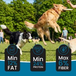 Dr.Pets Super Dawg Adult Dry Dog Food key benefits infographic 24 percent protein probiotic