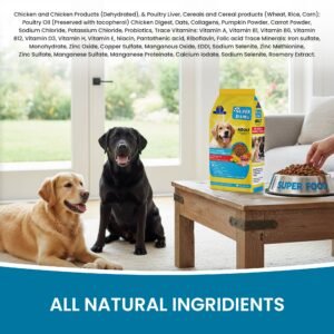 Happy adult dog enjoying Dr.Pets Super Dawg Adult Chicken Vegetable dry dog food